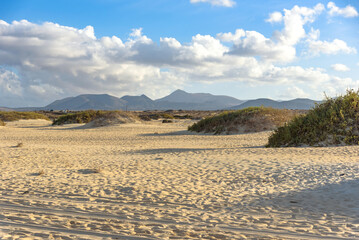 Landscape of Fuerteventura with Sand Dunes of Corralejo