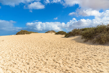 Fototapeta na wymiar The Sand Dunes of Corralejo on Ferteventura