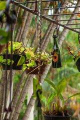 Jardim externo