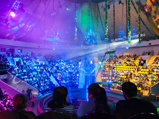 crowd at concert