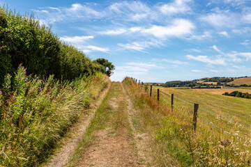 Fototapeta na wymiar Looking up a pathway through a rural Isle of Wight landscape, on a sunny summer's day