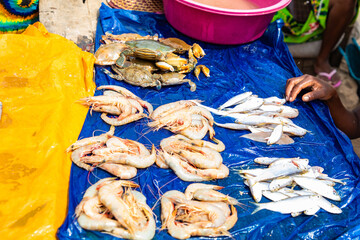 Fresh fish food at the local market, Toamasina, Madagascar