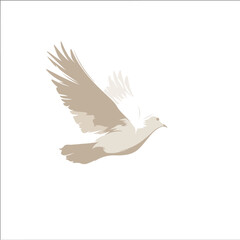 Vector silhouette of a dove flying