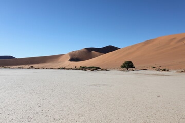 Fototapeta na wymiar View of the Dune 45 in the Namib-Naukluft National Park