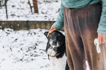 An elderly homeless man caresses his hand on the head of an old hungry mongrel dog with scars in...