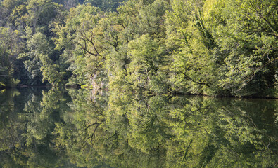 arbres se reflétant dans la rivière la Loue dans le département du Doubs en Franche comté en été