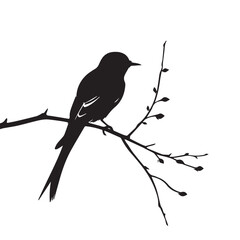 A vector silhouette of a swallow on a branch.