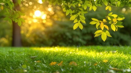 Sunlight Filtering Through Fresh Green Leaves in a Peaceful Park at Sunset