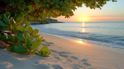 Serene Beach Sunrise With Tropical Foliage