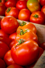 tomatoes on the market