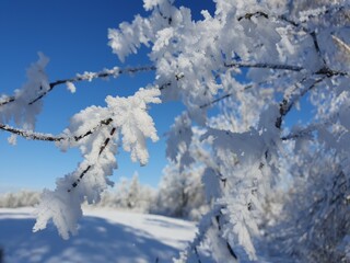 Winterzauber