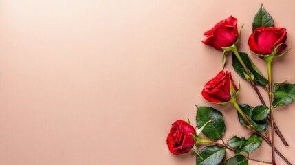 Red roses on peach background with empty space for text for Valentines Day