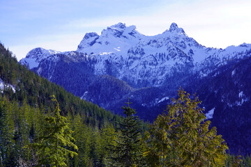 Rocky snow-capped mountain peaks with pine forest in the foreground