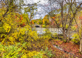 Fall leaves frame the Cochran Dam and South Street Bridge over the Charles River