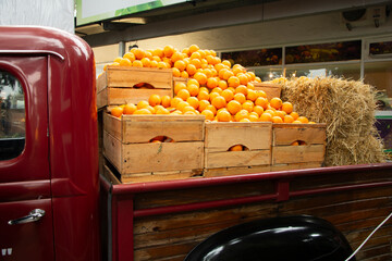 transport of fresh and organic oranges by truck, fruits.