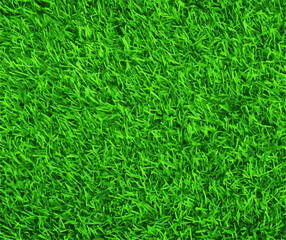Realistic lawn background.Realistic lawn texture