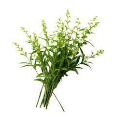 bunch of fresh rosemary