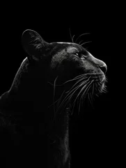 Foto op Plexiglas Fine art black panther with a black background low key animal africa photo © Femke