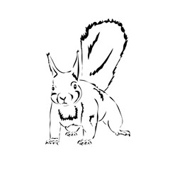 angry squirrel stands and looks