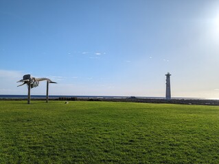 Fuerteventura Walskelett Leuchtturm 