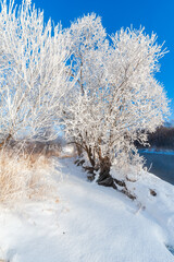Kuerbin rime sunrise landscape in Yichun city Heilongjiang province, China.