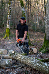 bucheron au travail dans une forêt de chêne