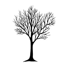 Leafless winter tree. Hand drawn sketch. Line art. Black and white design element on white background. Isolated. Tattoo image.