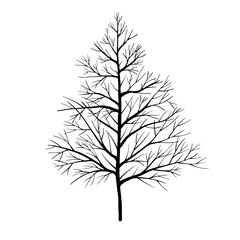 Leafless winter tree. Hand drawn sketch. Line art. Black and white design element on white background. Isolated. Tattoo image. - 727506618