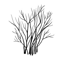 Leafless winter bush. Hand drawn sketch. Line art. Black and white design element on white background. Isolated. Tattoo image. - 727506630