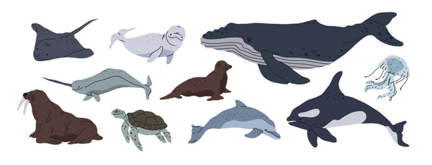 Sea animals. Ocean fauna, whale, orca, turtle, jellyfish and seal, hand drawn underwater animals flat vector illustration set. Wild nature aquatic animals collection