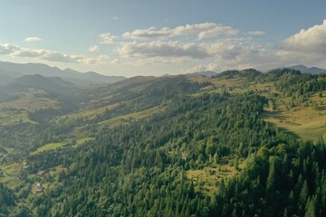 Fototapeta na wymiar Aerial view of beautiful mountain landscape with forest on sunny day