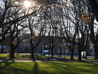 park in autumn on a sunny day DSLR photo