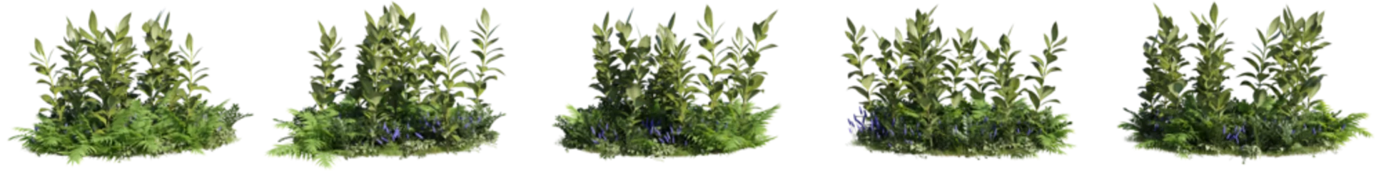 Foto op Plexiglas set of plants and ground covers, 3d rendering with transparent background © ANDRIBENKY