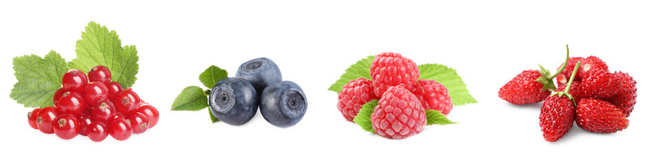 Wild berries isolated on white, collection. Raspberries, bilberries, strawberries, red currants