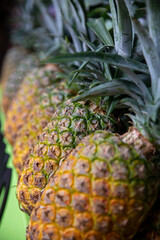 Pineapple shot close up
