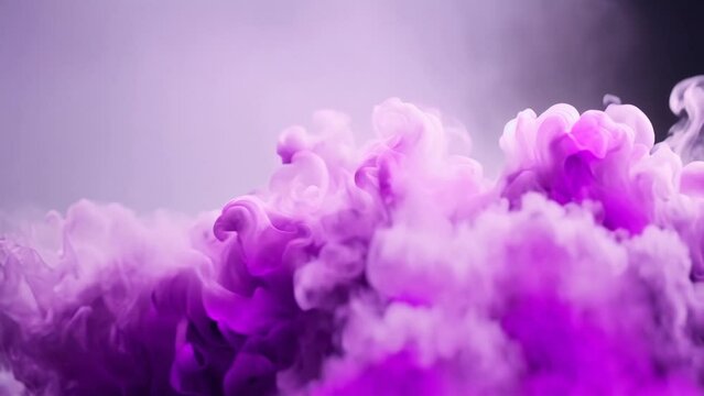 purple colored smoke on a white background 4K video