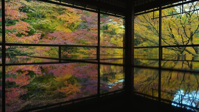 瑠璃光院の風景動画