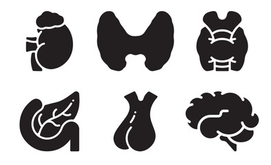Set of black endocrine icon, medicine and Health icons