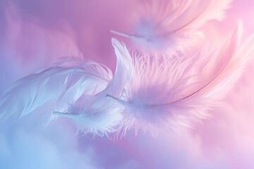 Delicate feathers float ethereally, their wisps softly illuminated by a gradient of serene pinks and blues, invoking a sense of peaceful weightlessness.