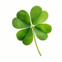 Lucky Irish four-leaf clover charm isolated on white background for fortune concepts, Ai Generated.