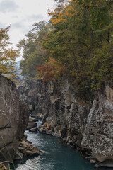 日本　岩手県一関市を流れる磐井川の渓谷、厳美渓と紅葉した木々
