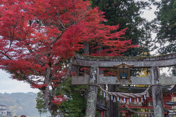 日本　岩手県西磐井郡平泉町にある達谷窟毘沙門堂の一の鳥居と紅葉
