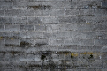 Grungy looking cinder brick wall in alley.