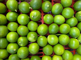 Fresh green kaffir limes in fruit basket. fresh oranges for cooking and health