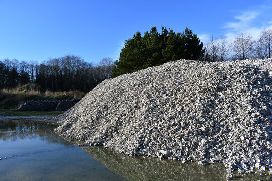 Oyster shell pile.