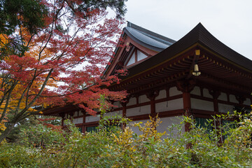 日本　岩手県西磐井郡平泉町にある毛越寺の本堂と紅葉