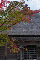 日本　岩手県西磐井郡平泉町にある毛越寺庭園の常行堂と紅葉