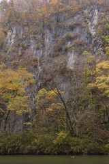Fototapeta premium 日本 岩手県一関市を流れる砂鉄川沿いの渓谷、猊鼻渓の舟下りの船上から見える紅葉