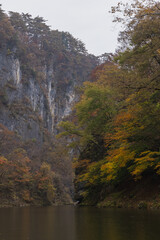 日本　岩手県一関市を流れる砂鉄川沿いの渓谷、猊鼻渓の舟下りの船上から見える紅葉