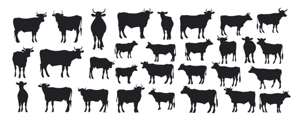 collection set vector cow cartoon silhouette icon illustration isolated on white background. Hand drawn vector illustration. - obrazy, fototapety, plakaty